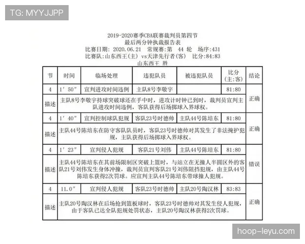 裁判报告在判罚审查中的关键内容与格式要求